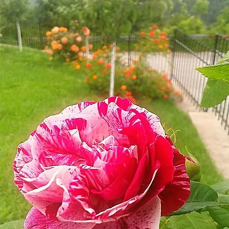Rupcovoto Semesterbostad Smolyan