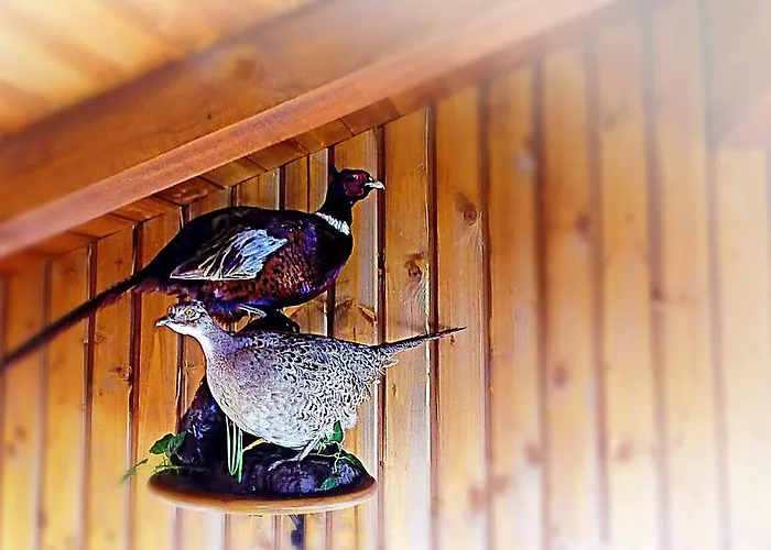 Rupcovoto Casa de Férias